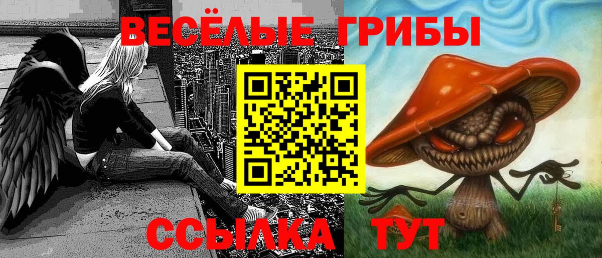 Галлюциногенные грибы мицелий Благодарный